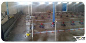 تجهیز و راه اندازی مرغداری گوشتی در تربت - پروژه مرغ گوشتی - دانخوری کوناوی - بشقاب کناوی - دانخوری بشقابی قابل استفاده از یک روزگی - 01