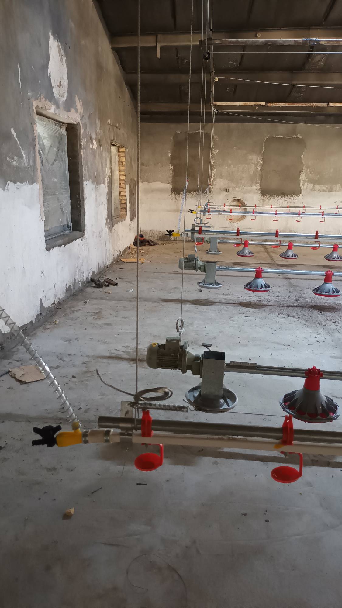 تجهیز مرغداری شیروان