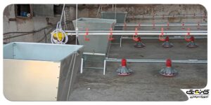 تجهیز مرغداری شیروان