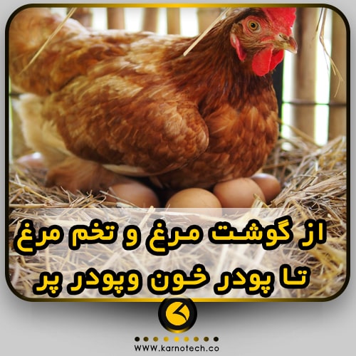 گوشت مرغ و تخم مرغ و پودر خون و پر-ارنوتک