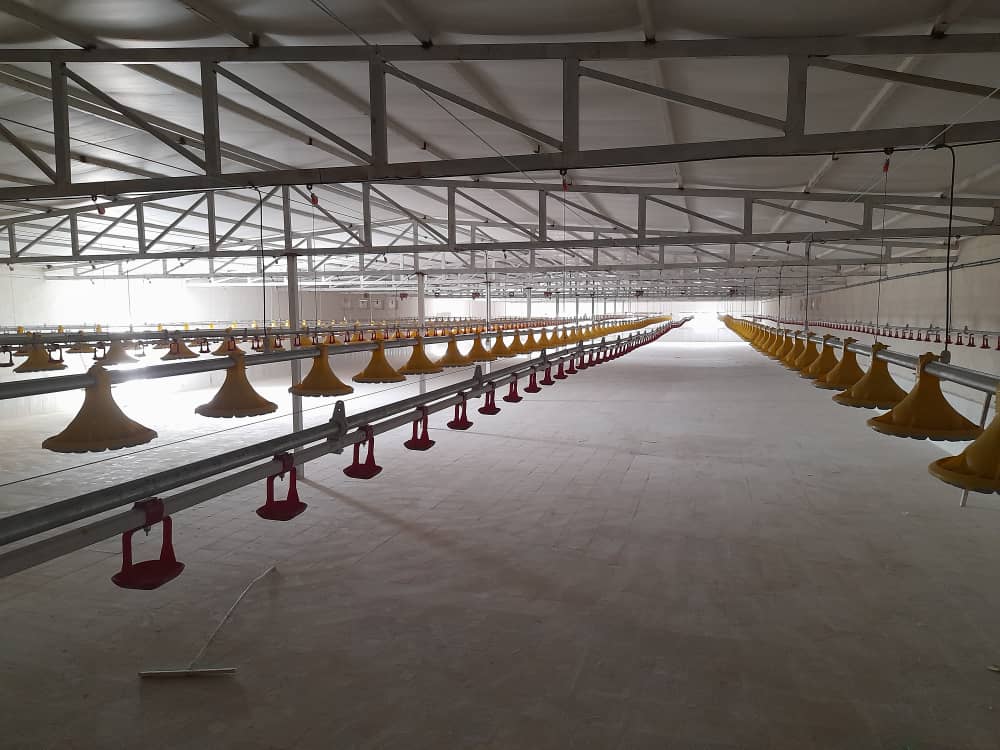 پروژه نصب و راه اندازی تجهیزات مرغداری در خوزستان