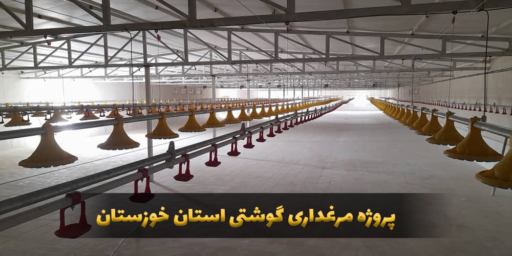 پروژه نصب و راه اندازی تجهیزات مرغداری در خوزستان -9