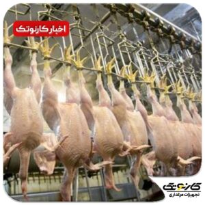 حذف عوارض صادرات مرغ و تخم مرغ