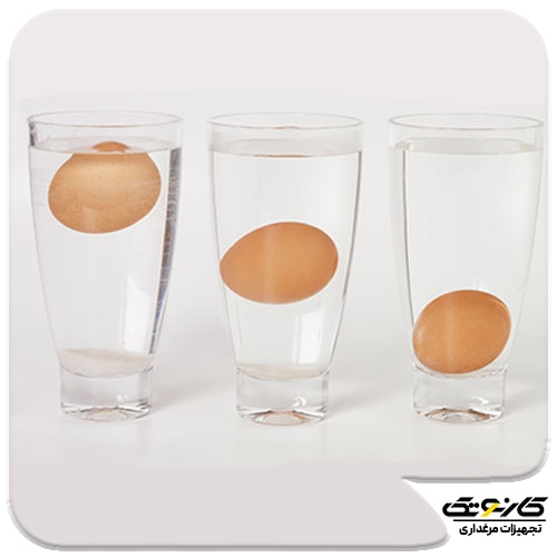 روش تشخیص تخم مرغ کهنه و نو - تخم مرغ تازه-02