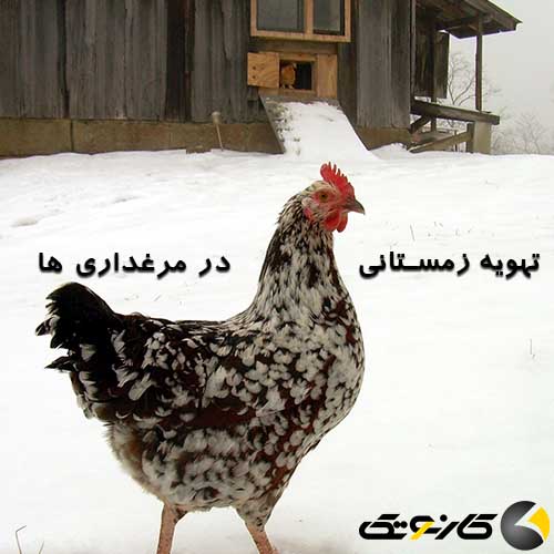 تهویه زمستانی در مرغداری ها ، هواکش صنعتی ، مرغ گوشتی
