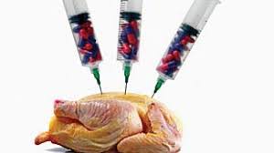 استفاده از آنتی بیوتیک در مرغ