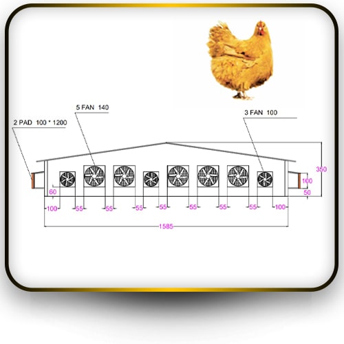 طراحی سالن مرغداری - ابعاد سالن مرغداری- نقشه مرغداری - جانمایی