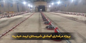 سالن آقای ترشیزی-کارنوتک