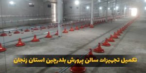 تکمیل تجهیزات سالن بلدرچین-min
