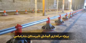 تکمیل تجهیزات مرغداری - کارنوتک
