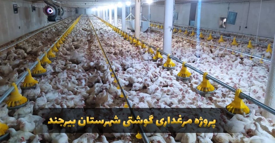پروژه تکمیل تجهیزات مرغداری شهرستان بیرجند-کارنوتک