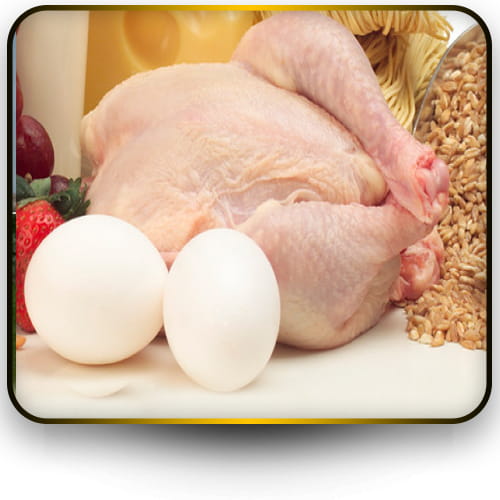 گوشت مرغ و تخم مرغ-کارنوتک
