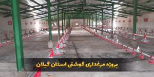 پروژه مرغداری گوشتی استان گیلان 1401.01.00
