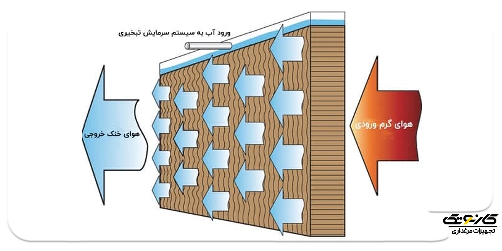 معرفی انواع پد سلولزی 01