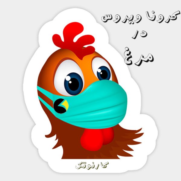 ویروس کرونا در مرغ