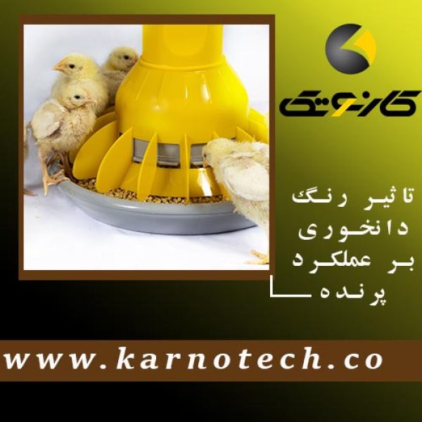 رنگ بشقاب دانخوری