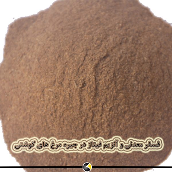فسفر معدنی و آنزیم فیتاز در جیره مرغ های گوشتی