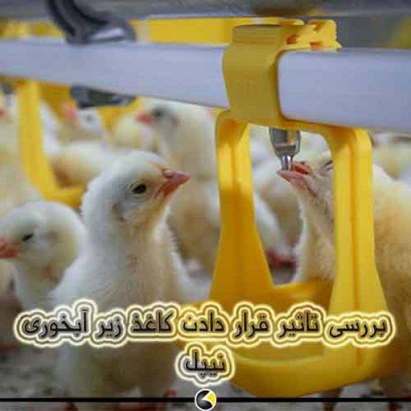 آبخوری نیپل ( آبخوری مرغ )
