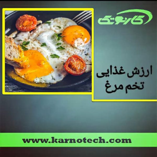 ارزش غذایی تخم مرغ - کارنوتک