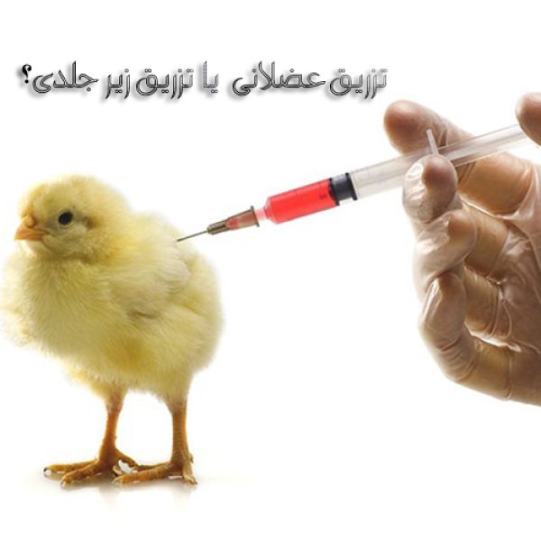 تزریق عضلانی-تزریق زیرجلدی