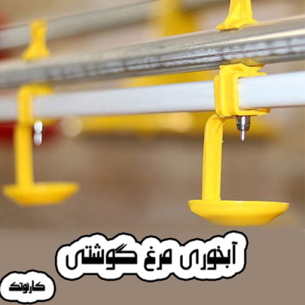 آبخوری مرغ گوشتی