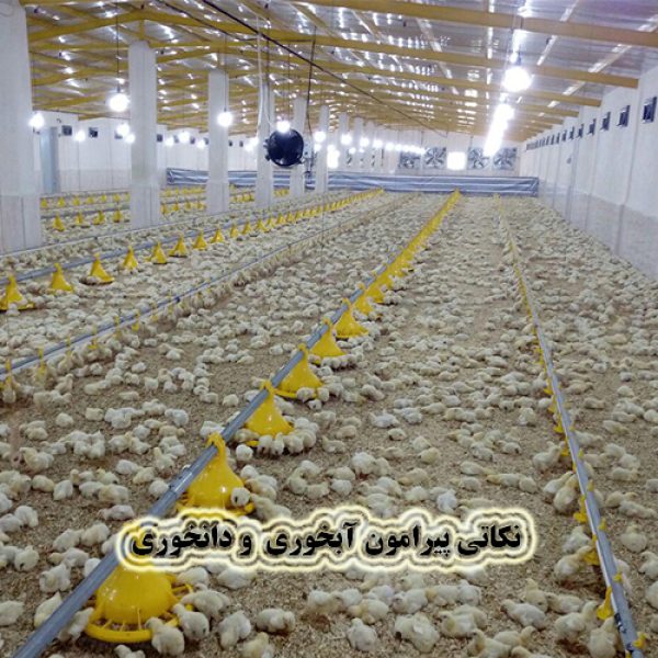 نصب دانخوری ها و آبخوری ها