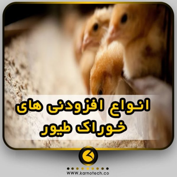 افزودنی های خوراک طیور