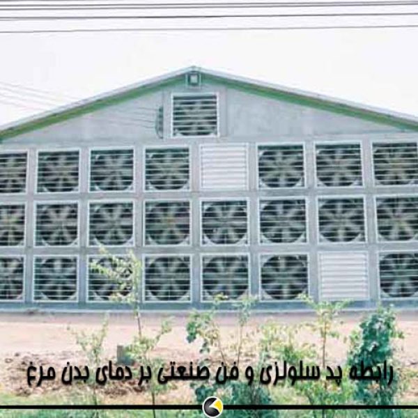 پد سلولزی و فن صنعتی