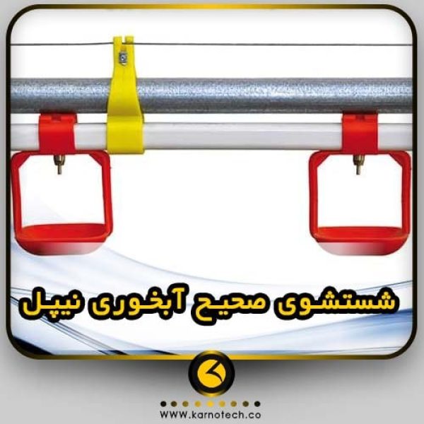 شستشوی صحیح آبخوری نیپل-کارنوتک