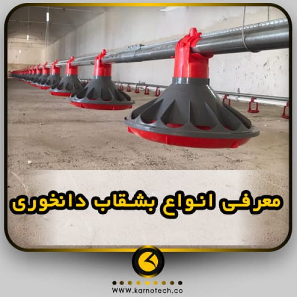 بهترین بشقاب دانخوری کارنوتک - کناوی