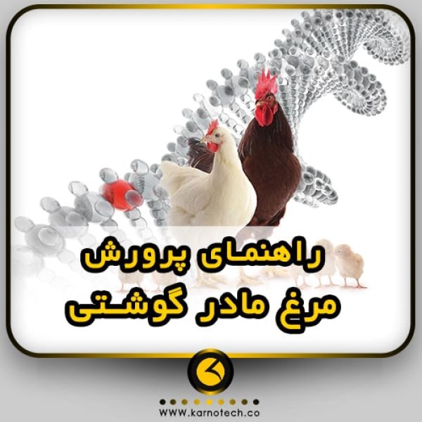مرغ مادر کارنوتک