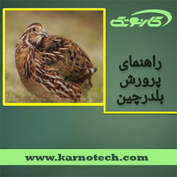 پرورش بلدرچین - کارنوتک