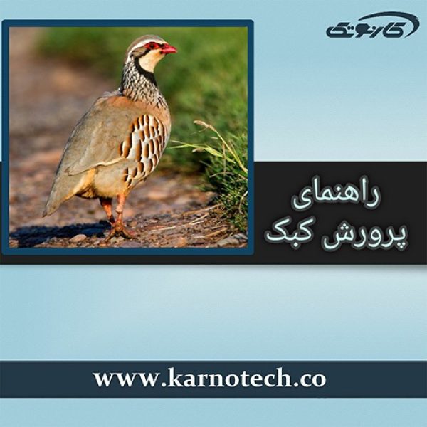 پرورش کبک