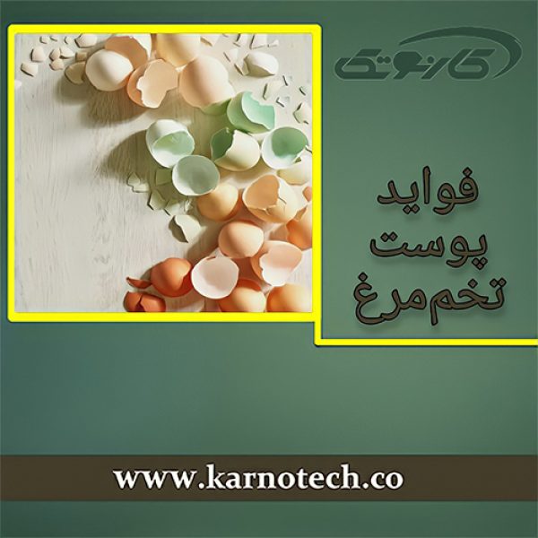 پوست تخم مرغ