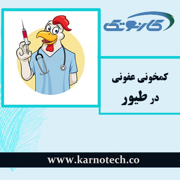 کم خونی عفونی طیور