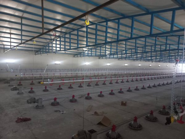 تجهیز مرغداری گوشتی در سیستان و بلوچستان